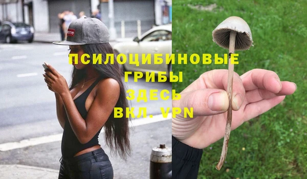 таблы Алзамай