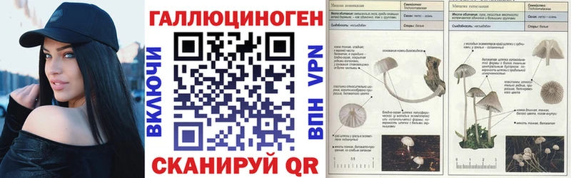 цена наркотик Осинники Галлюциногенные грибы Psilocybine cubensis